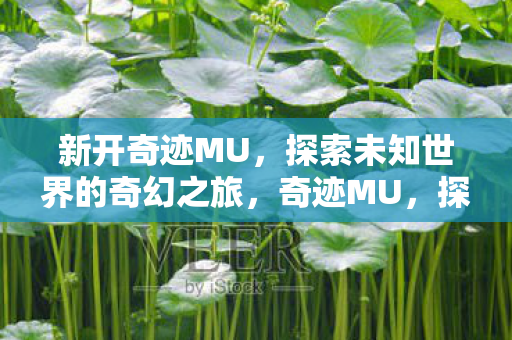 探索未知世界的奇幻之旅图片