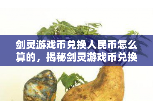 剑灵游戏币兑换人民币怎么算的，揭秘剑灵游戏币兑换人民币的算法