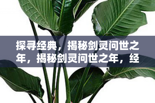 探寻经典,揭秘剑灵问世之年,揭秘剑灵问世之年,经典背后的故事 探寻经典,揭秘剑灵问世之年,揭秘剑灵问世之年,经典背后的故事