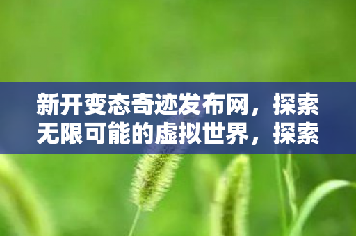探索无限可能的虚拟世界图片
