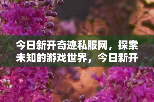 今日新开奇迹私服网图片