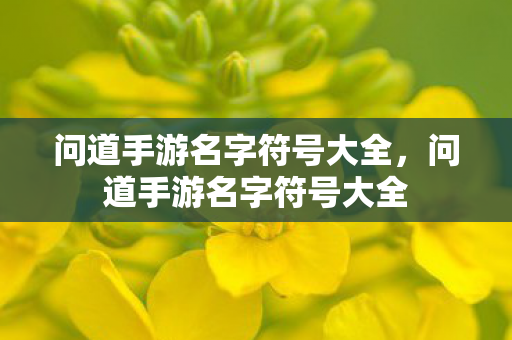 问道手游名字符号大全,问道手游名字符号大全 问道手游名字符号大全,问道手游名字符号大全