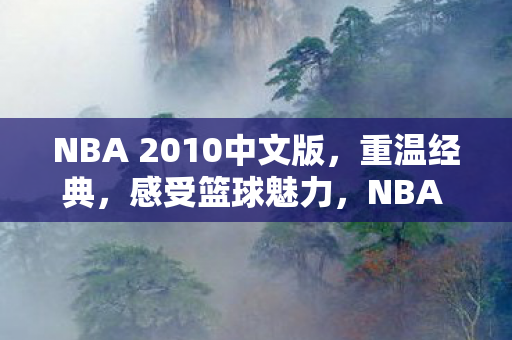 NBA 2010中文版，重温经典，感受篮球魅力，NBA 2010中文版，重温经典，感受篮球魅力