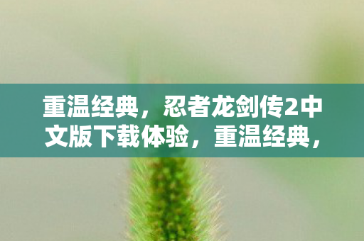 重温经典,忍者龙剑传2中文版下载体验,重温经典,忍者龙剑传2中文版下载体验 重温经典,忍者龙剑传2中文版下载体验,重温经典,忍者龙剑传2中文版下载体验