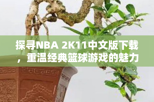 探寻NBA 2K11中文版下载图片