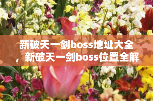 新破天一剑boss地址大全,新破天一剑boss位置全解析 新破天一剑boss地址大全,新破天一剑boss位置全解析