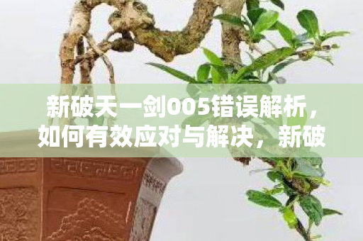 新破天一剑005错误解析，如何有效应对与解决，新破天一剑005错误详解及解决方案