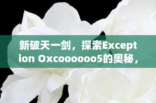 新破天一剑，探索Exception Oxcoooooo5的奥秘，探索新破天一剑中的Exception Oxcoooooo5奥秘