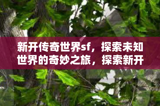 探索新开传奇世界sf的奇妙冒险之旅图片