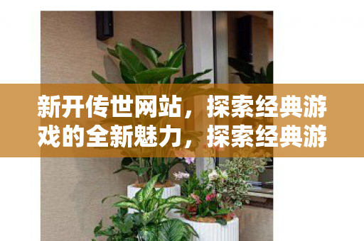 探索经典游戏的全新魅力图片