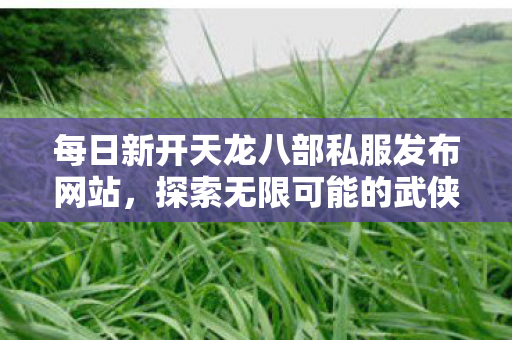 每日新开天龙八部私服发布网站图片