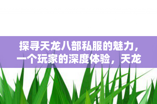 玩家深度体验揭秘其独特魅力图片