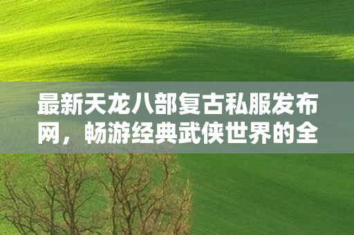 最新天龙八部复古私服发布网图片