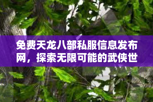 免费天龙八部私服信息发布网图片