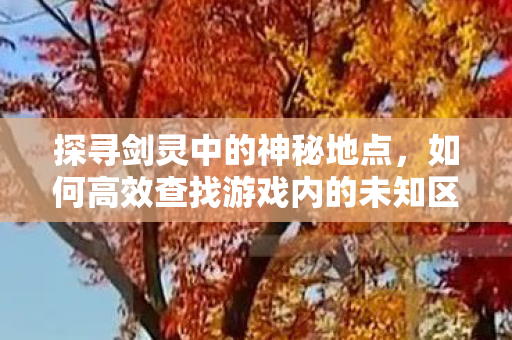 如何高效查找游戏内的未知区域图片