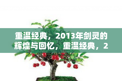 2013年剑灵的辉煌与回忆图片