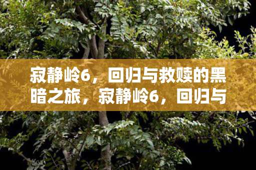 回归与救赎的黑暗之旅图片