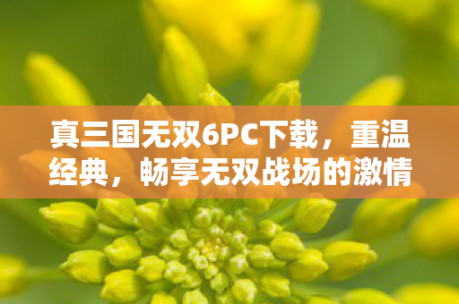 真三国无双6PC下载,重温经典,畅享无双战场的激情,真三国无双6PC版下载,重温经典,畅享无双战场激情 真三国无双6PC下载,重温经典,畅享无双战场的激情,真三国无双6PC版下载,重温经典,畅享无双战场激情