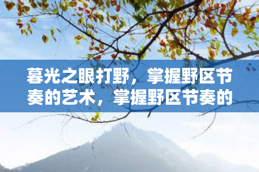 暮光之眼打野，掌握野区节奏的艺术，掌握野区节奏的艺术，暮光之眼打野攻略