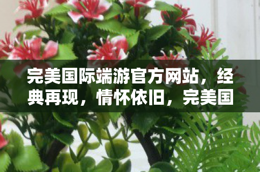 完美国际端游官方网站图片