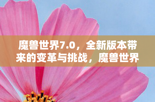 全新版本带来的变革与挑战图片