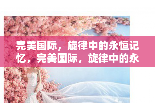 旋律中的永恒记忆图片