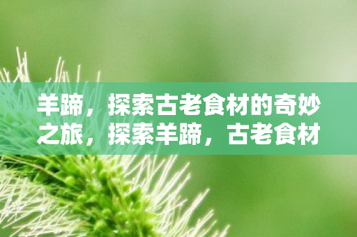 探索古老食材的奇妙之旅图片