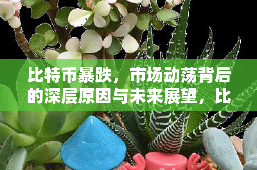 市场动荡背后的深层原因与未来展望图片