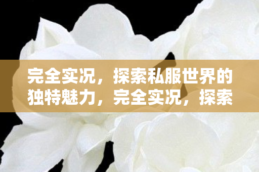 探索私服世界的独特魅力图片