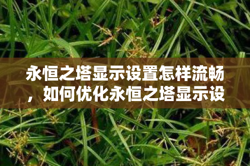 永恒之塔显示设置怎样流畅图片