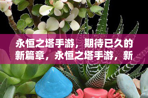 期待已久的新篇章图片