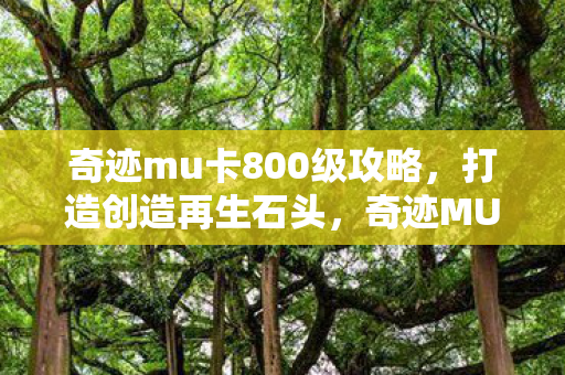 奇迹mu卡800级攻略图片