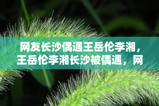 网友长沙偶遇王岳伦李湘,王岳伦李湘长沙被偶遇,网友直呼太幸福了! 网友长沙偶遇王岳伦李湘,王岳伦李湘长沙被偶遇,网友直呼太幸福了!