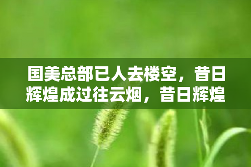 国美总部已人去楼空,昔日辉煌成过往云烟,昔日辉煌成过往云烟,国美总部人去楼空 国美总部已人去楼空,昔日辉煌成过往云烟,昔日辉煌成过往云烟,国美总部人去楼空