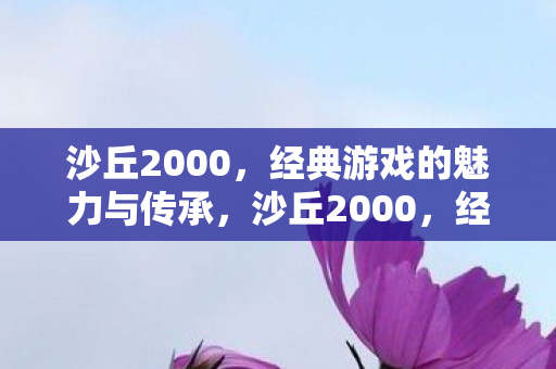 经典游戏的魅力与传承图片