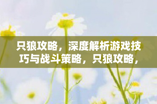 深度解析游戏技巧与战斗策略图片