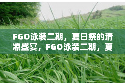 FGO泳装二期,夏日祭的清凉盛宴,FGO泳装二期,夏日祭的清凉盛宴 FGO泳装二期,夏日祭的清凉盛宴,FGO泳装二期,夏日祭的清凉盛宴