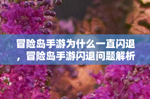 冒险岛手游为什么一直闪退,冒险岛手游闪退问题解析 冒险岛手游为什么一直闪退,冒险岛手游闪退问题解析