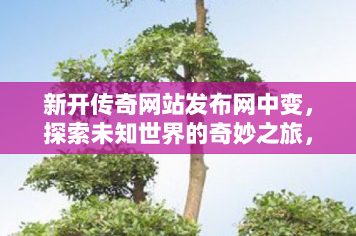 中变传奇网站发布网全新开启图片