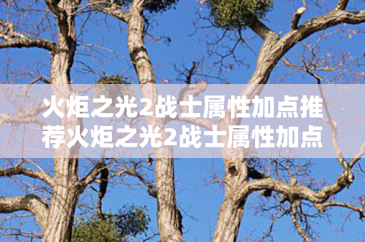 火炬之光2战士属性加点推荐火炬之光2战士属性加点策略图片