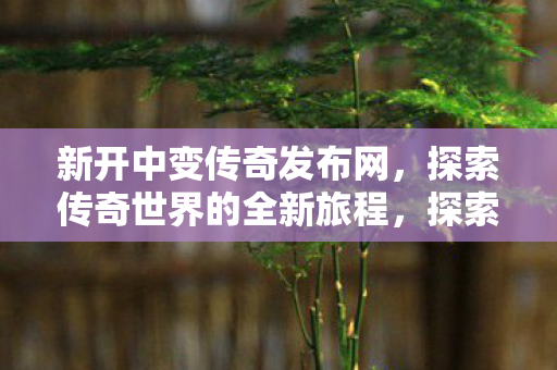 新开中变传奇发布网开启全新旅程图片