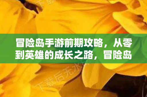 冒险岛手游前期攻略，从零到英雄的成长之路，冒险岛手游前期攻略，从零到英雄的成长之路
