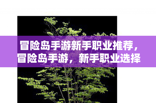 冒险岛手游新手职业推荐，冒险岛手游，新手职业选择指南