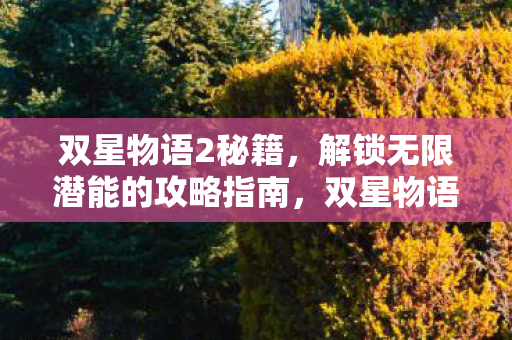 双星物语2秘籍,解锁无限潜能的攻略指南,双星物语2攻略秘籍,解锁无限潜能的终极指南 双星物语2秘籍,解锁无限潜能的攻略指南,双星物语2攻略秘籍,解锁无限潜能的终极指南