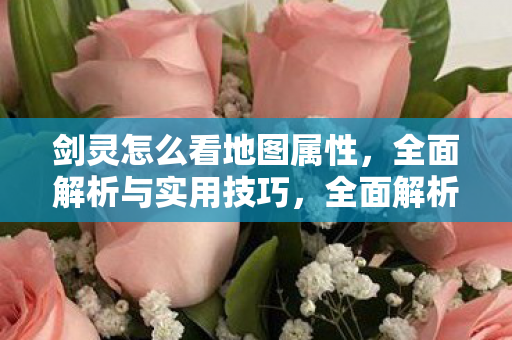 全面解析剑灵地图属性与实用技巧图片