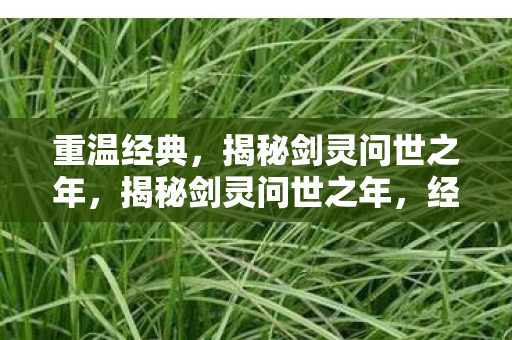 揭秘剑灵问世之年图片
