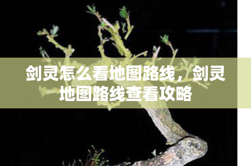 剑灵地图路线查看攻略图片