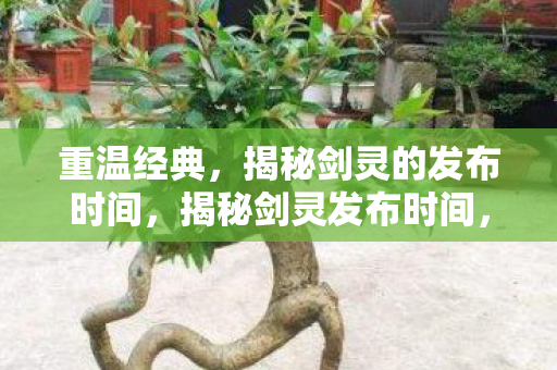 揭秘剑灵的发布时间图片