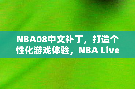 NBA08中文补丁，打造个性化游戏体验，NBA Live 08中文补丁，打造个性化游戏体验