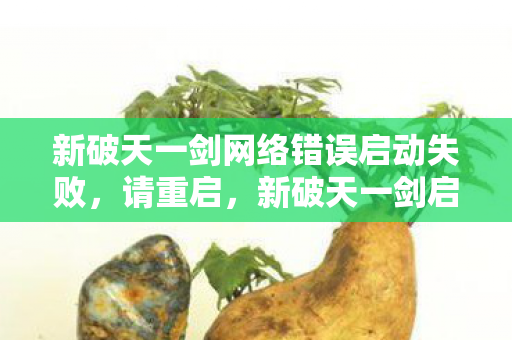 新破天一剑网络错误启动失败，请重启，新破天一剑启动失败，需重启解决网络问题